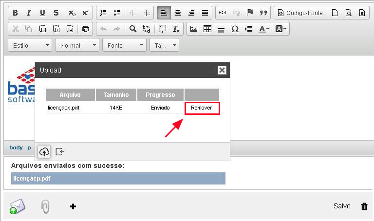 Base CRM Botao Remover Arquivo.jpg