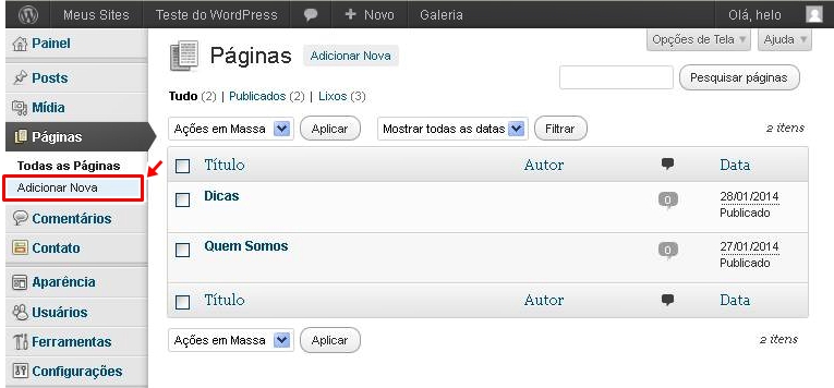 WordPress Adicionar Pagina.jpg