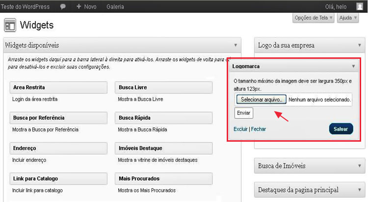 WordPress Widget Incluir Logomarca.jpg
