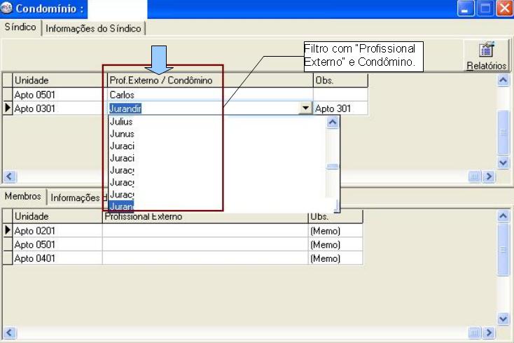 Profissional Externo 1.JPG