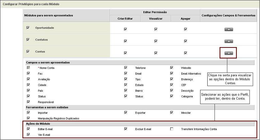 Base CRM configuracoes perfis contas.JPG