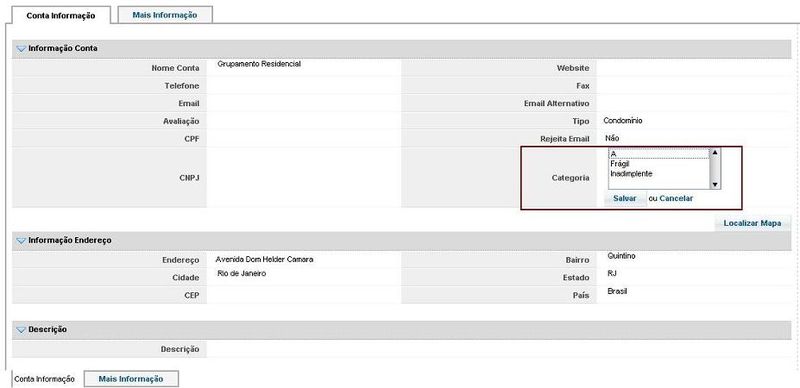 Arquivo:Base CRM conta categoria.JPG
